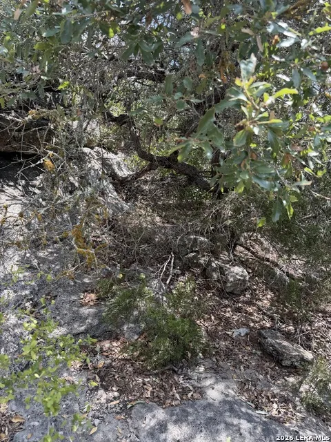 267 Sd 46066 Rocksprings, TX 78880