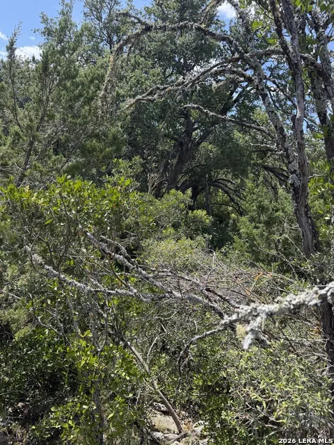 267 Sd 46066 Rocksprings, TX 78880