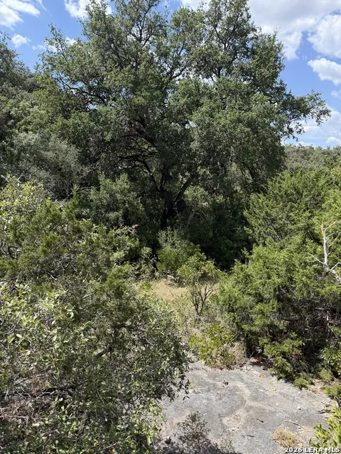 267 Sd 46066 Rocksprings, TX 78880