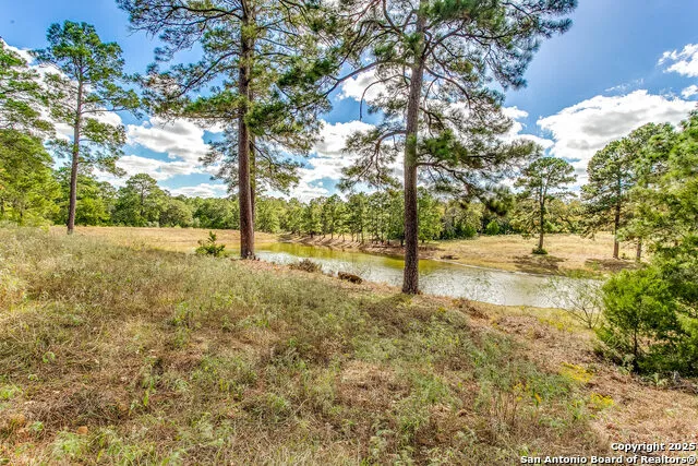 408 Copeland Hill Smithville, TX 78957