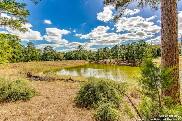 408 Copeland Hill Smithville, TX 78957
