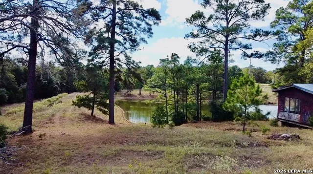 408 Copeland Hill Smithville, TX 78957