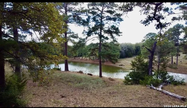 408 Copeland Hill Smithville, TX 78957