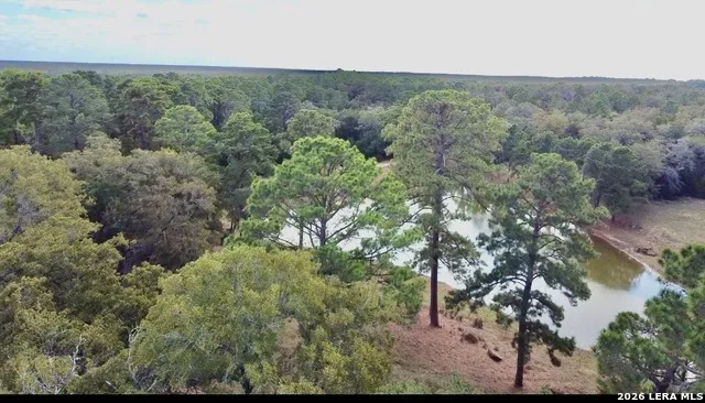 408 Copeland Hill Smithville, TX 78957