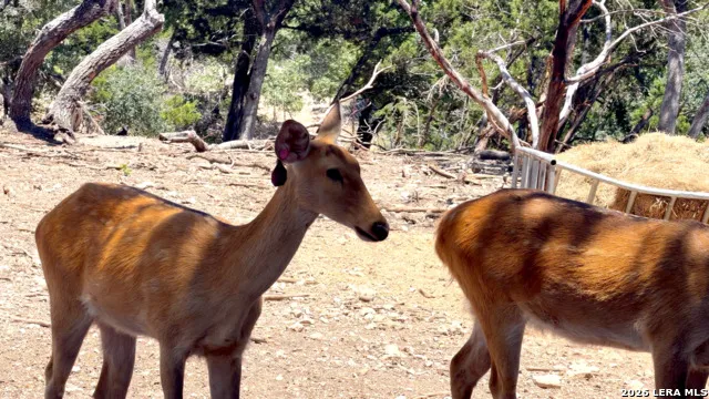225 Arrowhead Ln Pipe Creek, TX 78063