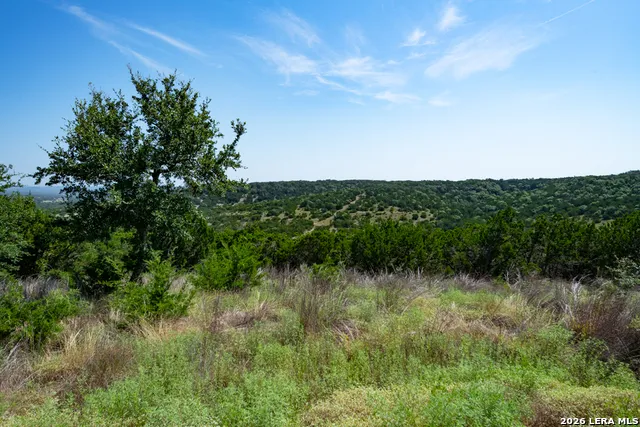 TBD CRABAPPLE RD Kendalia, TX 78027