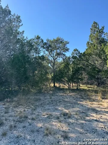 1234 FM 2828 Bandera, TX 78003