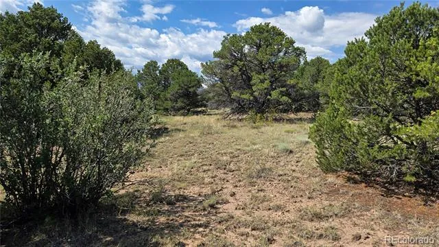 7 La Veta Pines Ranches Walsenburg, CO 81089