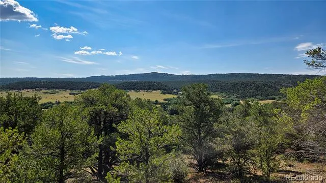 7 La Veta Pines Ranches Walsenburg, CO 81089