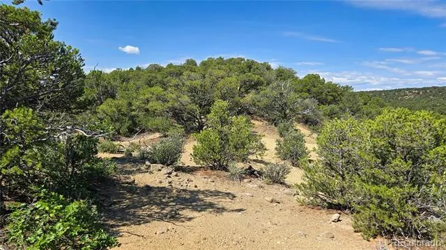 7 La Veta Pines Ranches Walsenburg, CO 81089