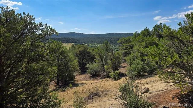 7 La Veta Pines Ranches Walsenburg, CO 81089