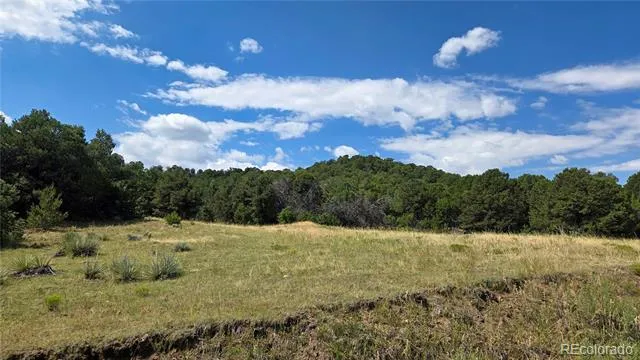 7 La Veta Pines Ranches Walsenburg, CO 81089