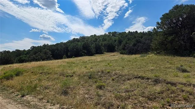 7 La Veta Pines Ranches Walsenburg, CO 81089