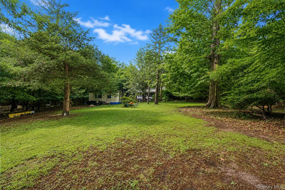 59 Dyke Road Setauket, NY 11733