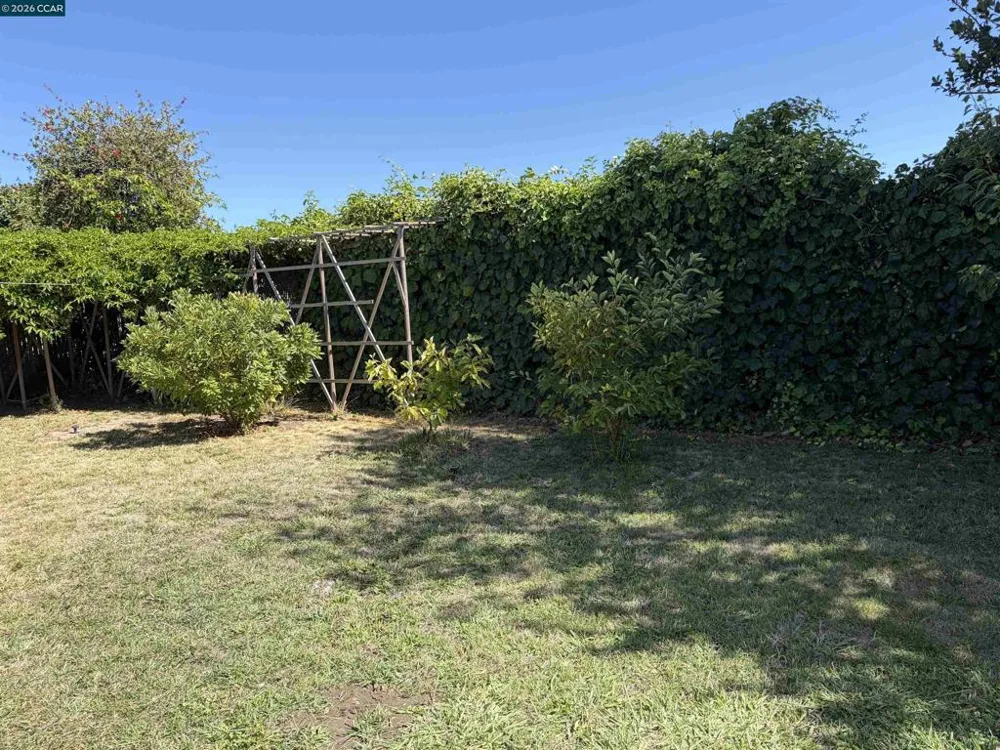 1078 Via Enrico San Lorenzo, CA 94580
