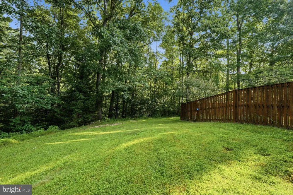 8108 CLIFFOREST DRIVE Springfield, VA 22153