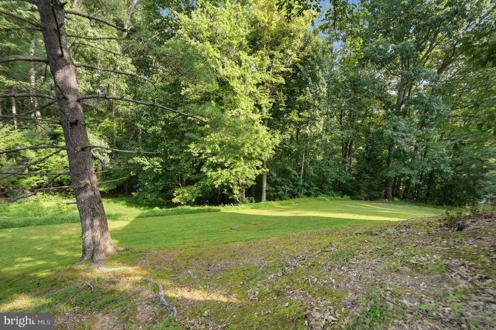 8108 CLIFFOREST DRIVE Springfield, VA 22153