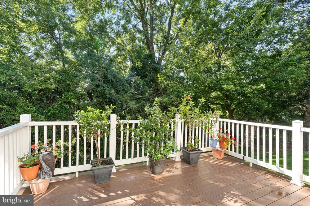 55 STATE ROAD Springfield, PA 19064