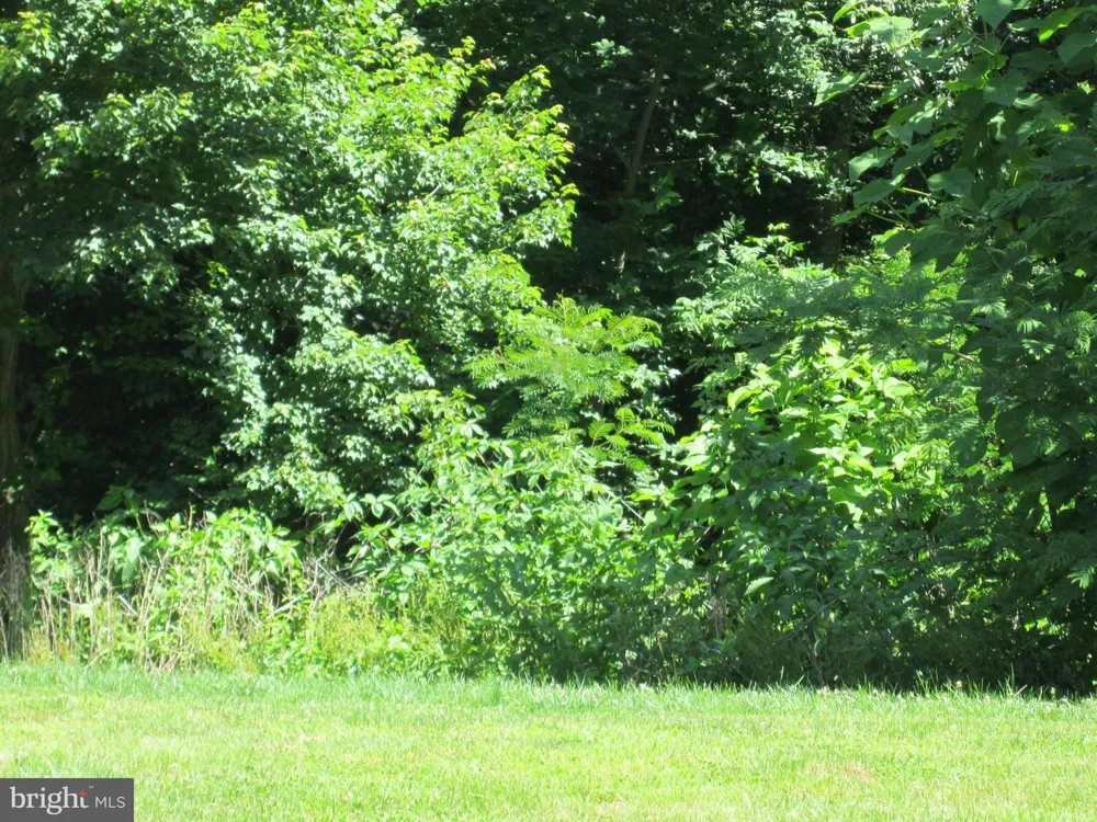 6500 FIRE TOWER ROAD Welcome, MD 20693