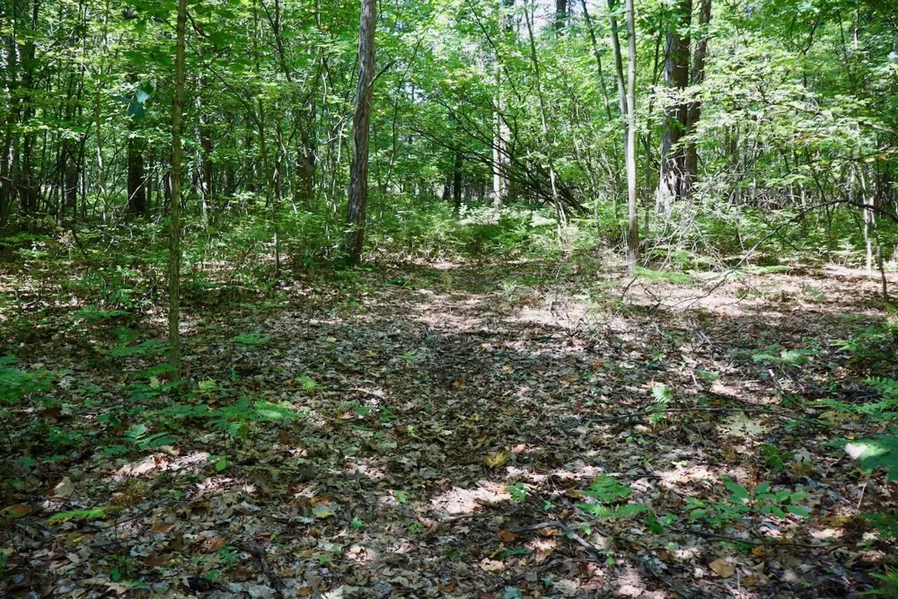 2074 W Olson Road Sanford, MI 48657