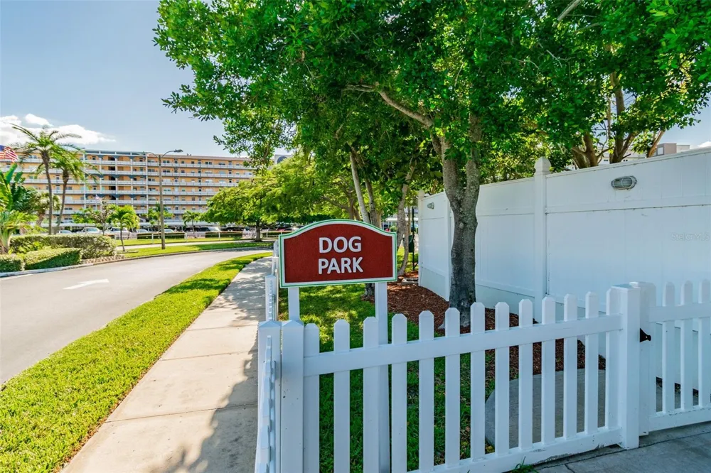 6020 SHORE BOULEVARD S #103 Gulfport, FL 33707