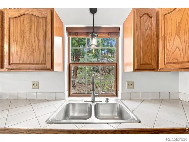 313 Deer Trail Drive Bailey, CO 80421