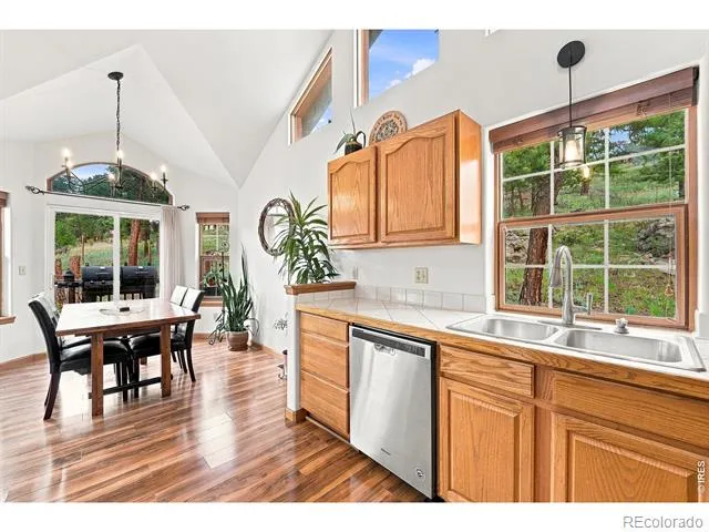 313 Deer Trail Drive Bailey, CO 80421