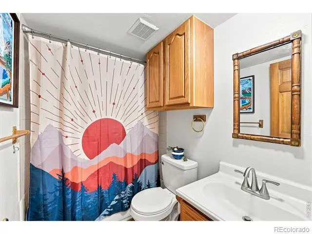 313 Deer Trail Drive Bailey, CO 80421