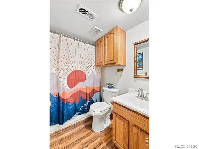 313 Deer Trail Drive Bailey, CO 80421