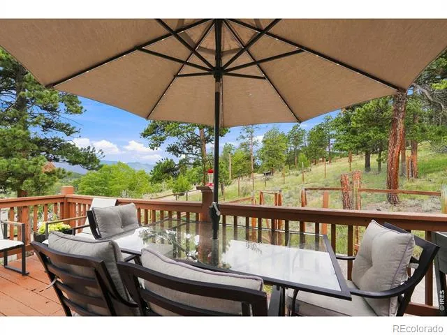 313 Deer Trail Drive Bailey, CO 80421