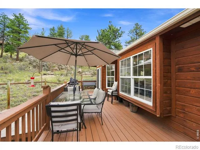 313 Deer Trail Drive Bailey, CO 80421