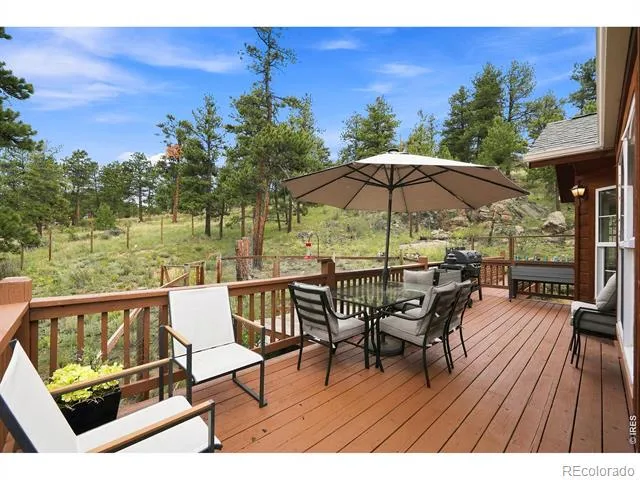 313 Deer Trail Drive Bailey, CO 80421