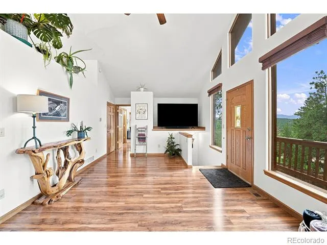 313 Deer Trail Drive Bailey, CO 80421