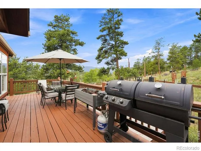 313 Deer Trail Drive Bailey, CO 80421