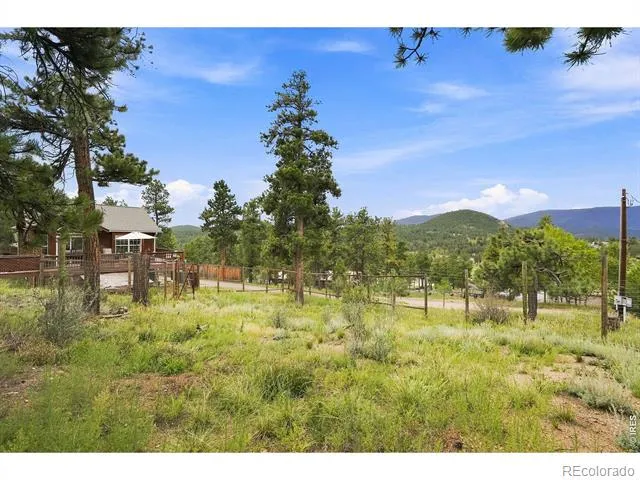 313 Deer Trail Drive Bailey, CO 80421