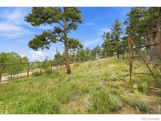 313 Deer Trail Drive Bailey, CO 80421