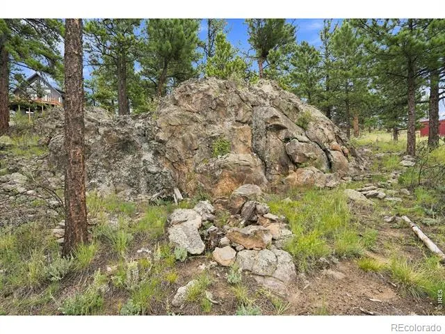 313 Deer Trail Drive Bailey, CO 80421