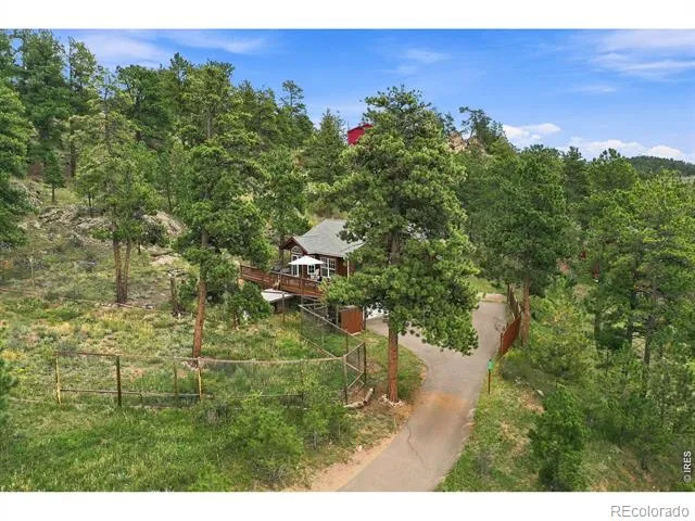 313 Deer Trail Drive Bailey, CO 80421