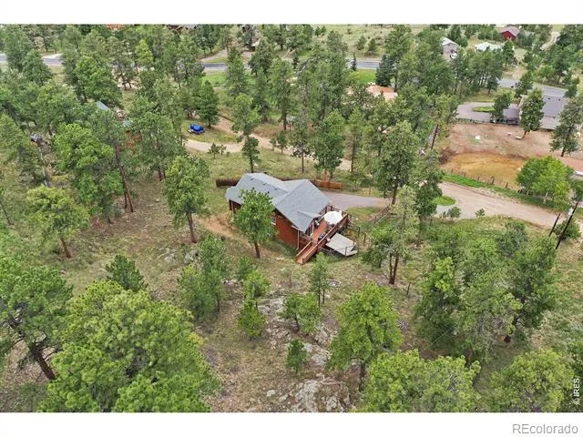 313 Deer Trail Drive Bailey, CO 80421