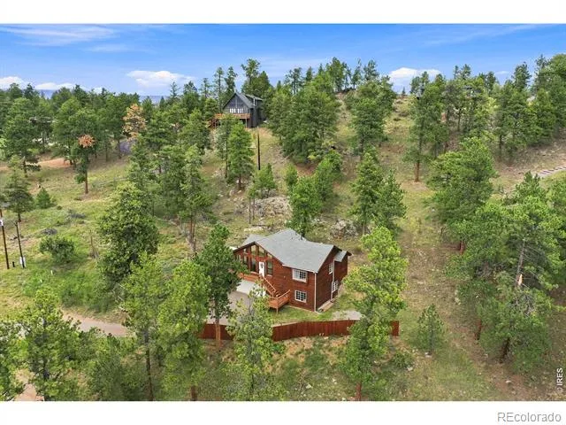 313 Deer Trail Drive Bailey, CO 80421