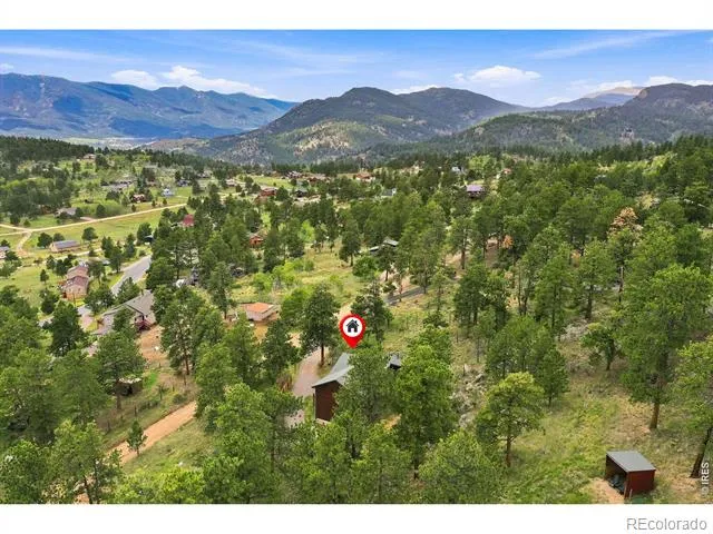 313 Deer Trail Drive Bailey, CO 80421
