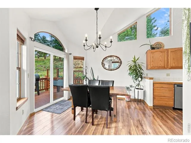 313 Deer Trail Drive Bailey, CO 80421