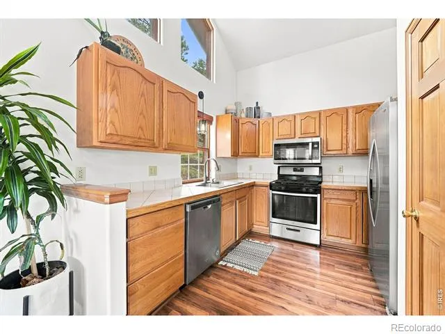 313 Deer Trail Drive Bailey, CO 80421