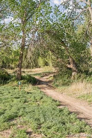 16880-16885 Old Pueblo Road Fountain, CO 80817