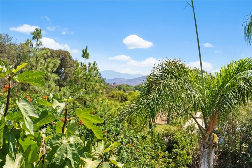 33562 Delphinium Lane Murrieta, CA 92563