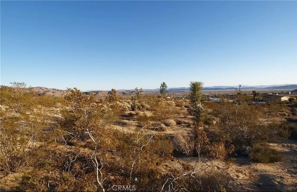 7275 Saddleback Joshua Tree, CA 92252