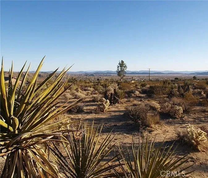 7275 Saddleback Joshua Tree, CA 92252