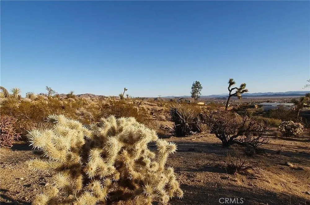 7275 Saddleback Joshua Tree, CA 92252