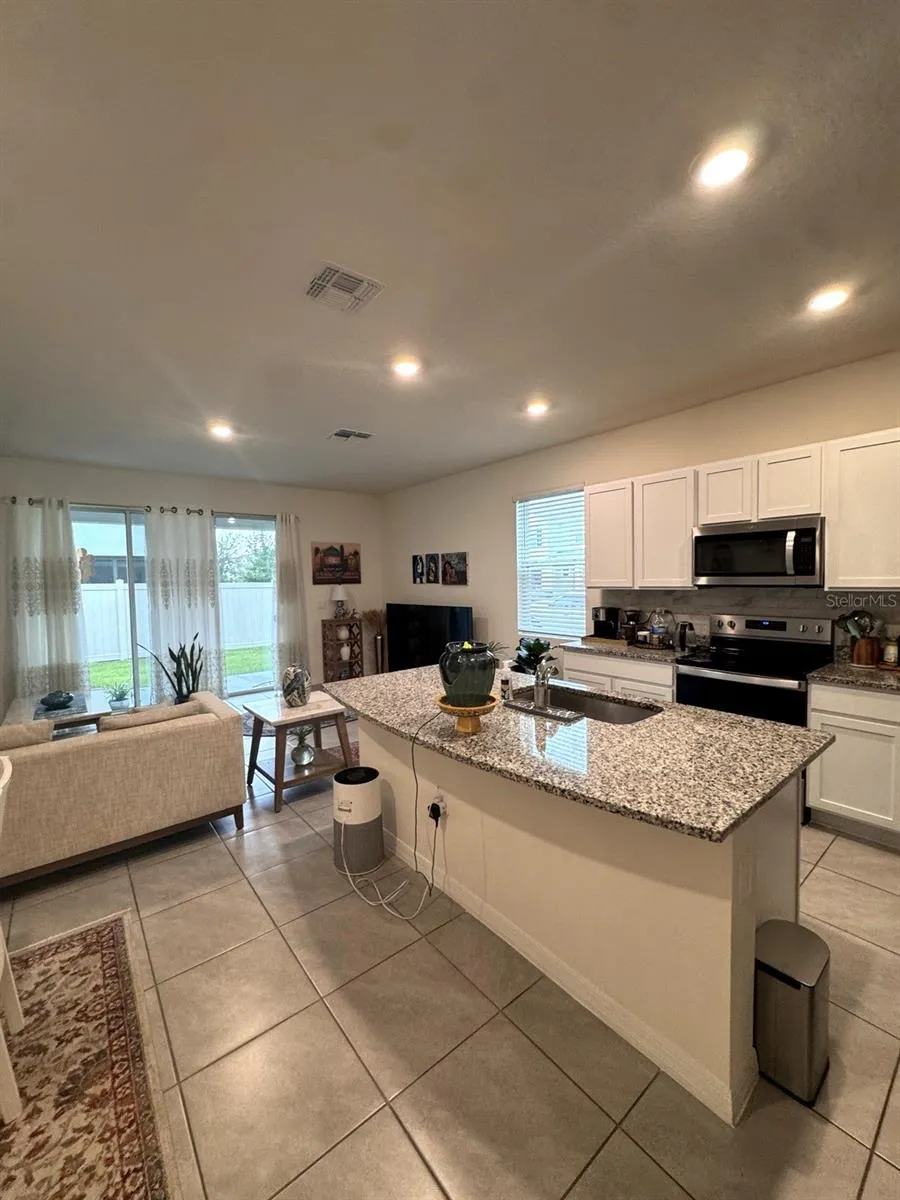 17198 AMBER ASPEN WAY Land O Lakes, FL 34638