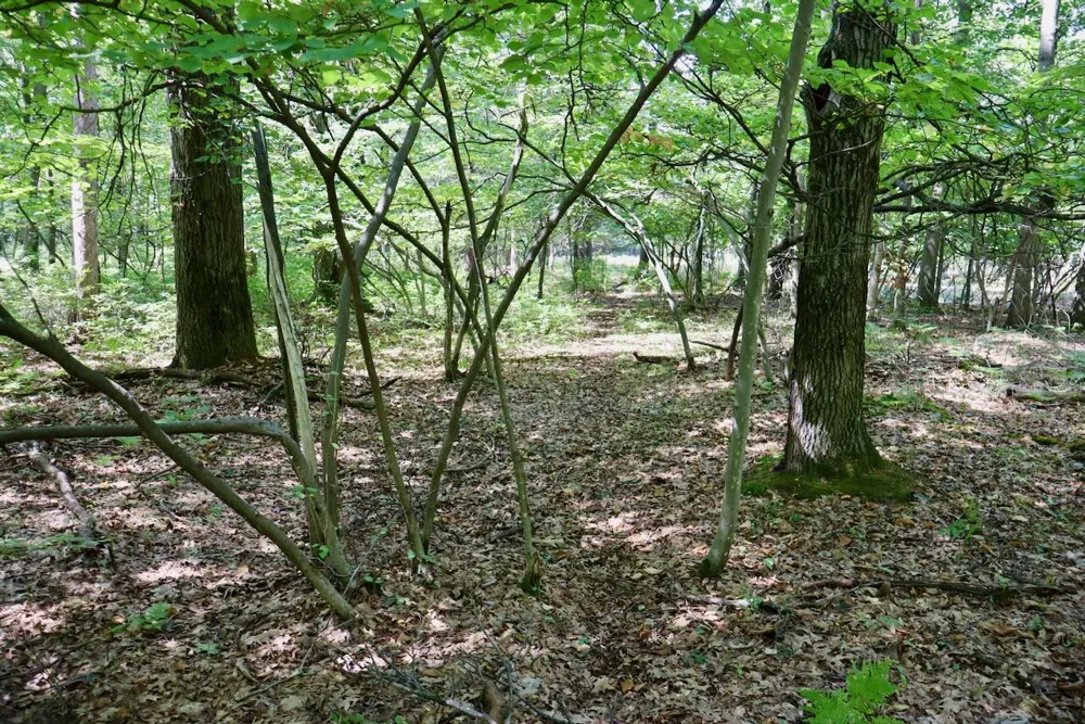 2074 W Olson Road Lee Township, MI 48657
